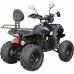 Квадроцикл SPARK SP125-5 (125 см.куб.)_2